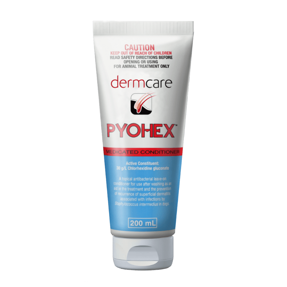 pyohex medicated conditioner 100ml