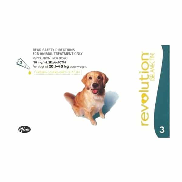 Revolution Dog 2040kg Teal 3 pack Buy Online from Vet Post NZ Fast