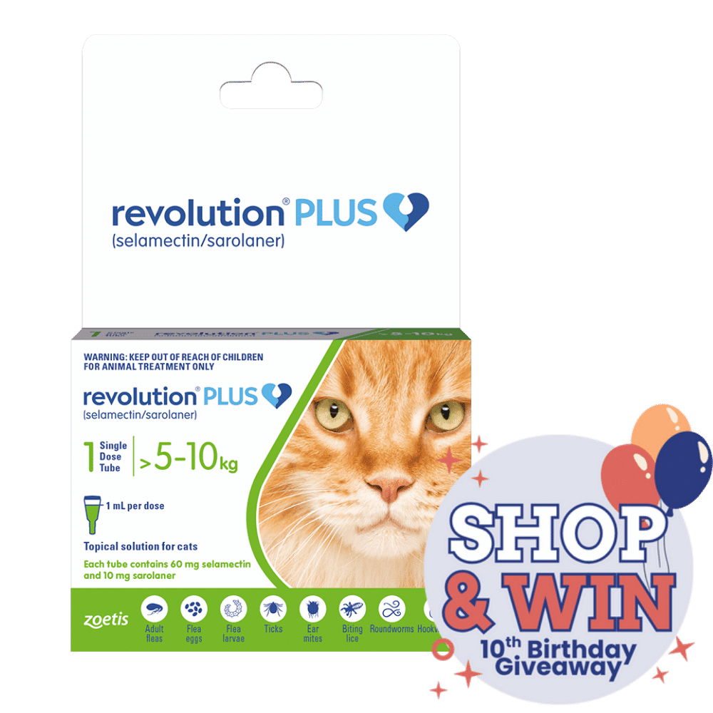 Revolution Plus 5-10kg Single Buy Online from Vet Post NZ Fast