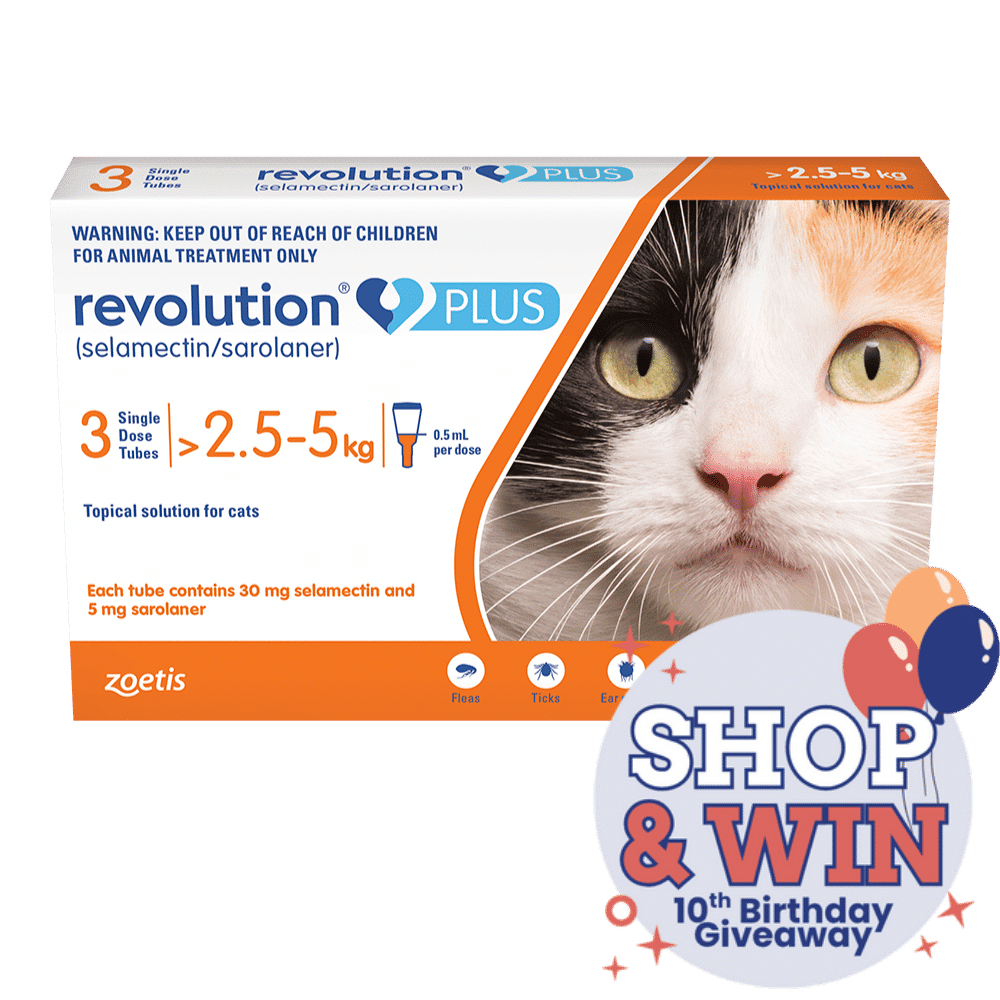 Revolution Plus Flea Treatment for Cats pack Buy