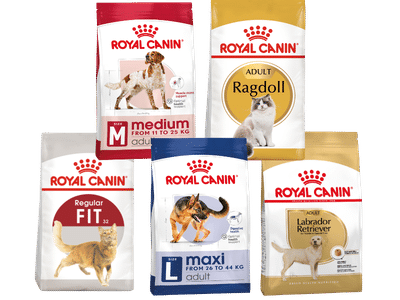 royal canin (9)