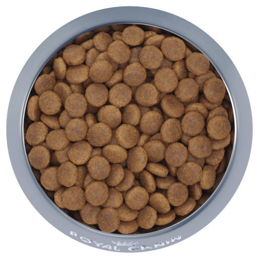 royal-canin-adult-medium-dog-biscuits royal canin adult medium dog 10kg