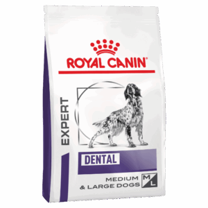 royal canin dental dog food 6kg