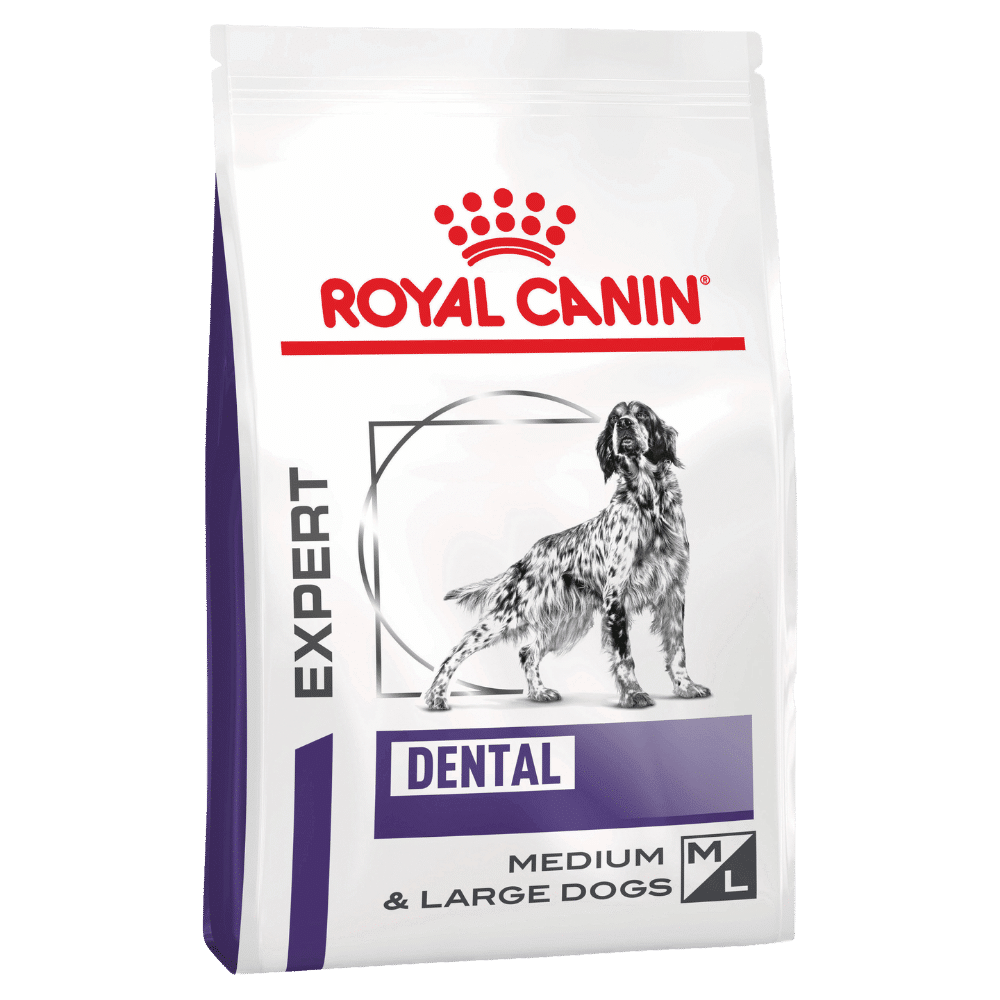 royal canin dental dog food 6kg