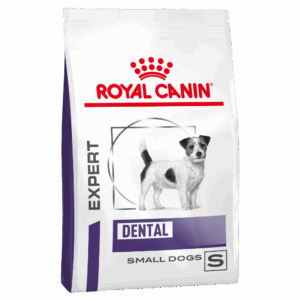 royal canin dental small dog