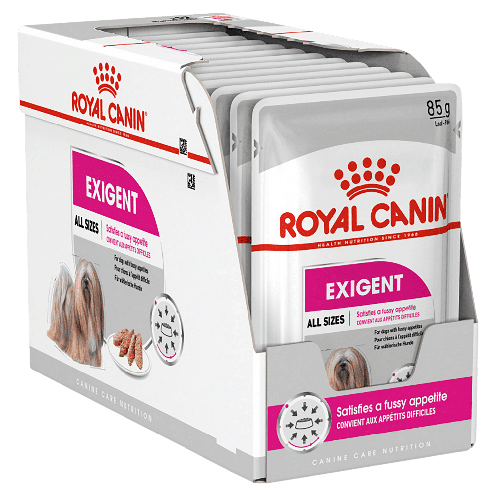 royal canin exigent dog 85g pouches x 12