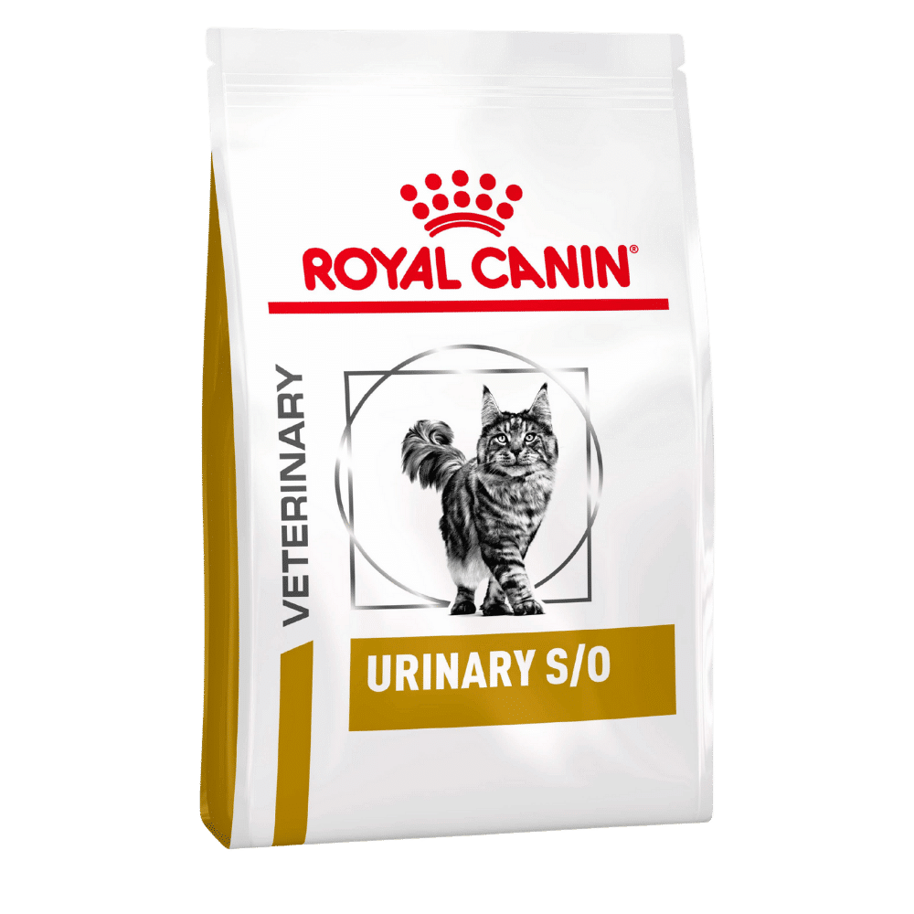 royal canin urinary s/o cat food