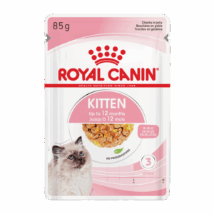 royal canin kitten jelly wet cat food pouches