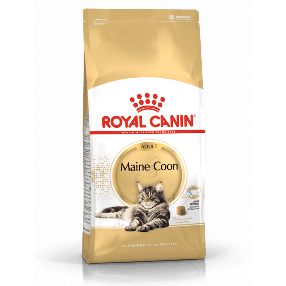 royal canin maine coon adult cat food