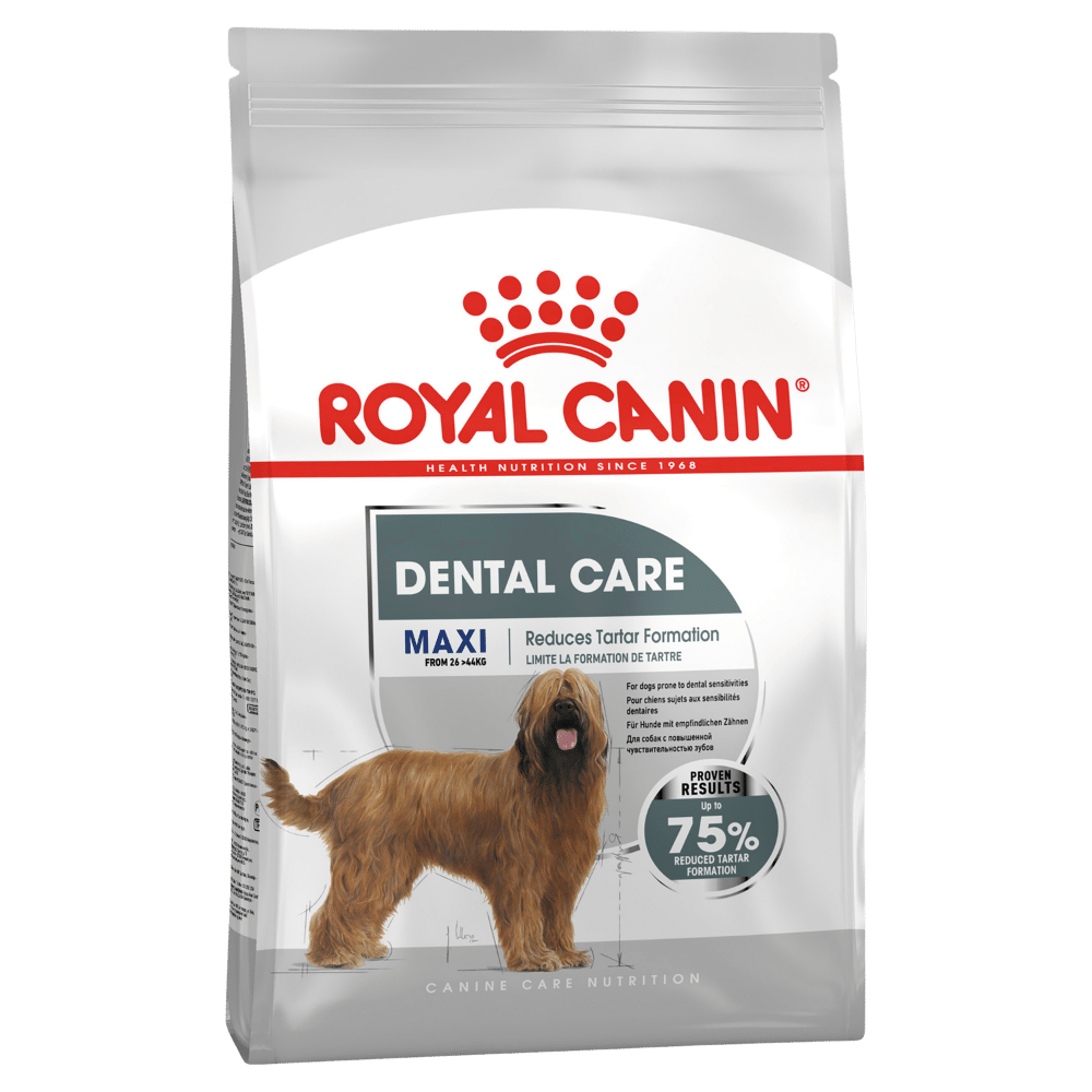 royal canin maxi dental care dry adult dog food 9kg