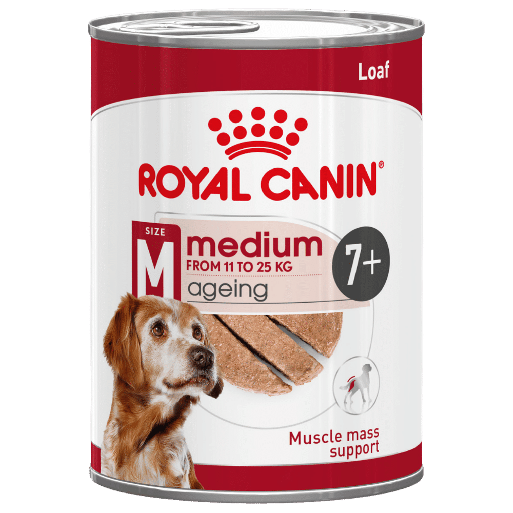 royal canin medium ageing 7+ loaf dog food can 410g