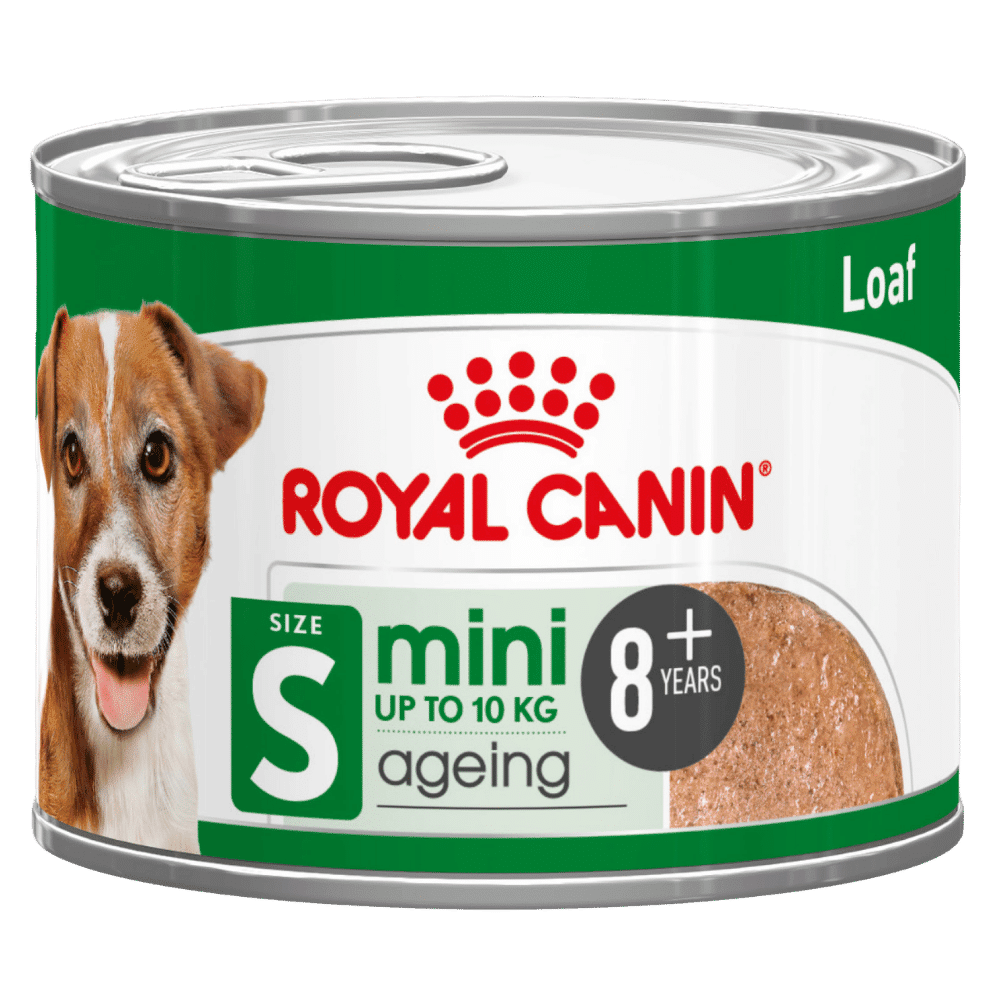 royal canin mini ageing 8+ loaf dog food can 195g