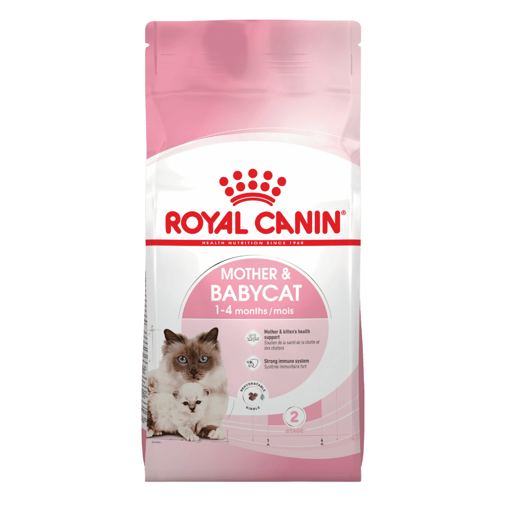royal canin mother and babycat