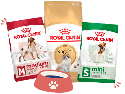 royal canin sale (2)