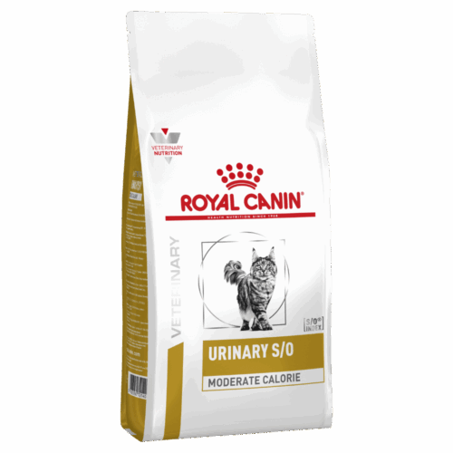 ziwi peak cat wet food Ziwi Peak Canned Wet Cat Food main image 1