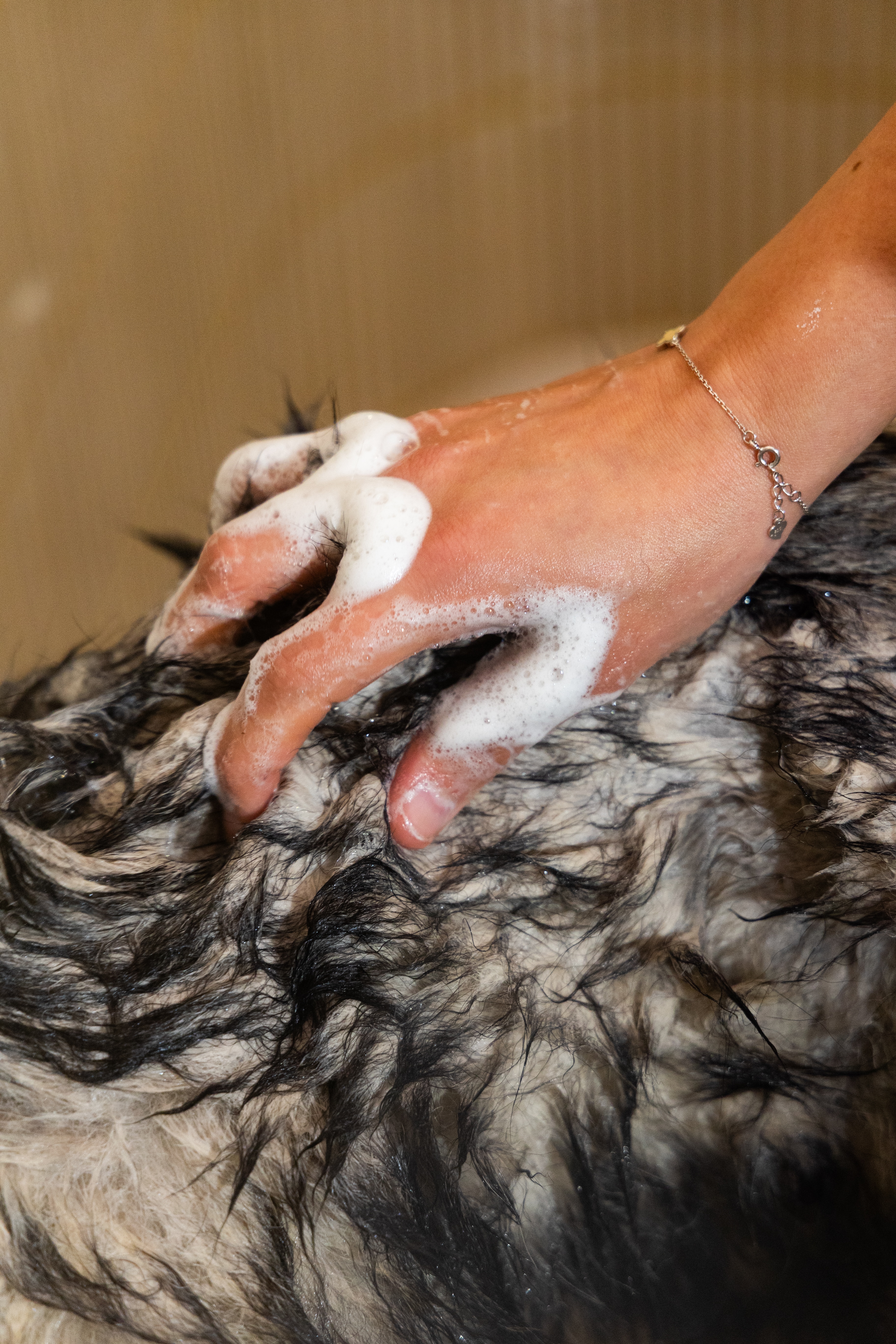 shampoo - dog6 fur love natural dog shampoo 200ml