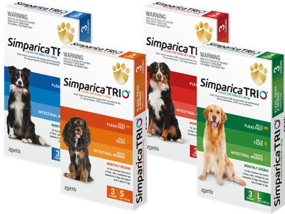 simparica trio