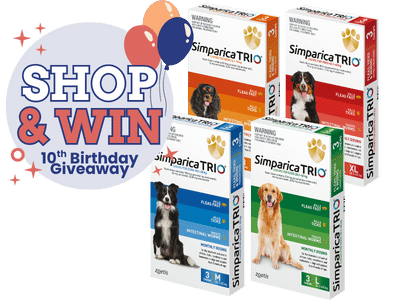 simparica trio birthday (2)