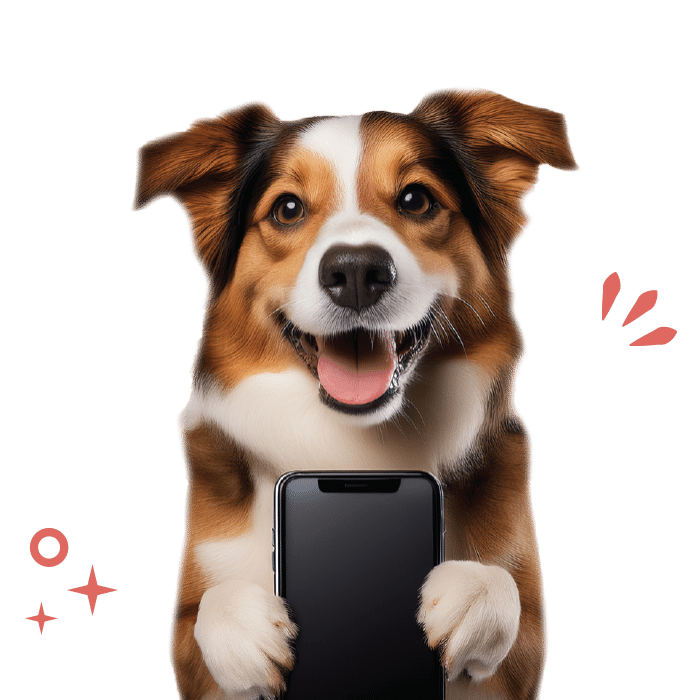 social dog phone