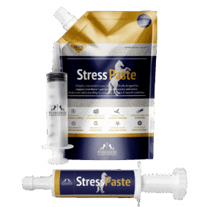 stress paste