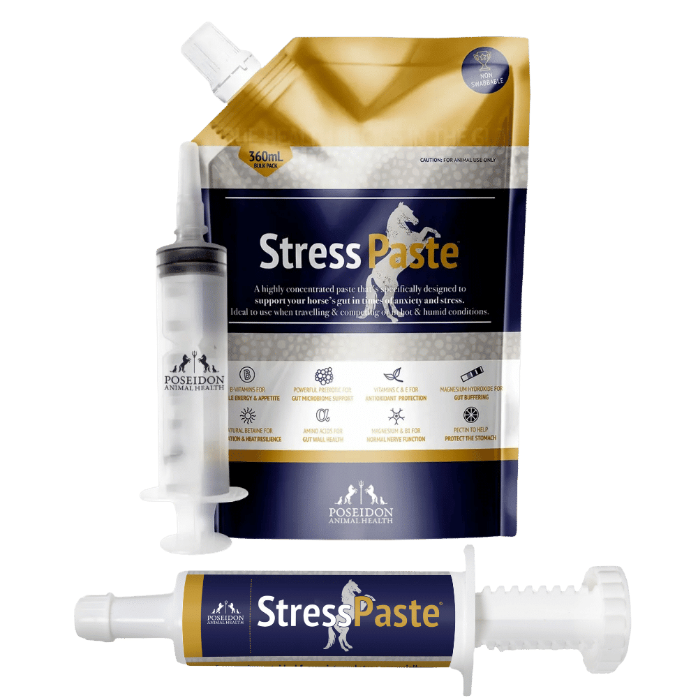 stress paste