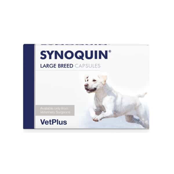 synoquin large breed capsules