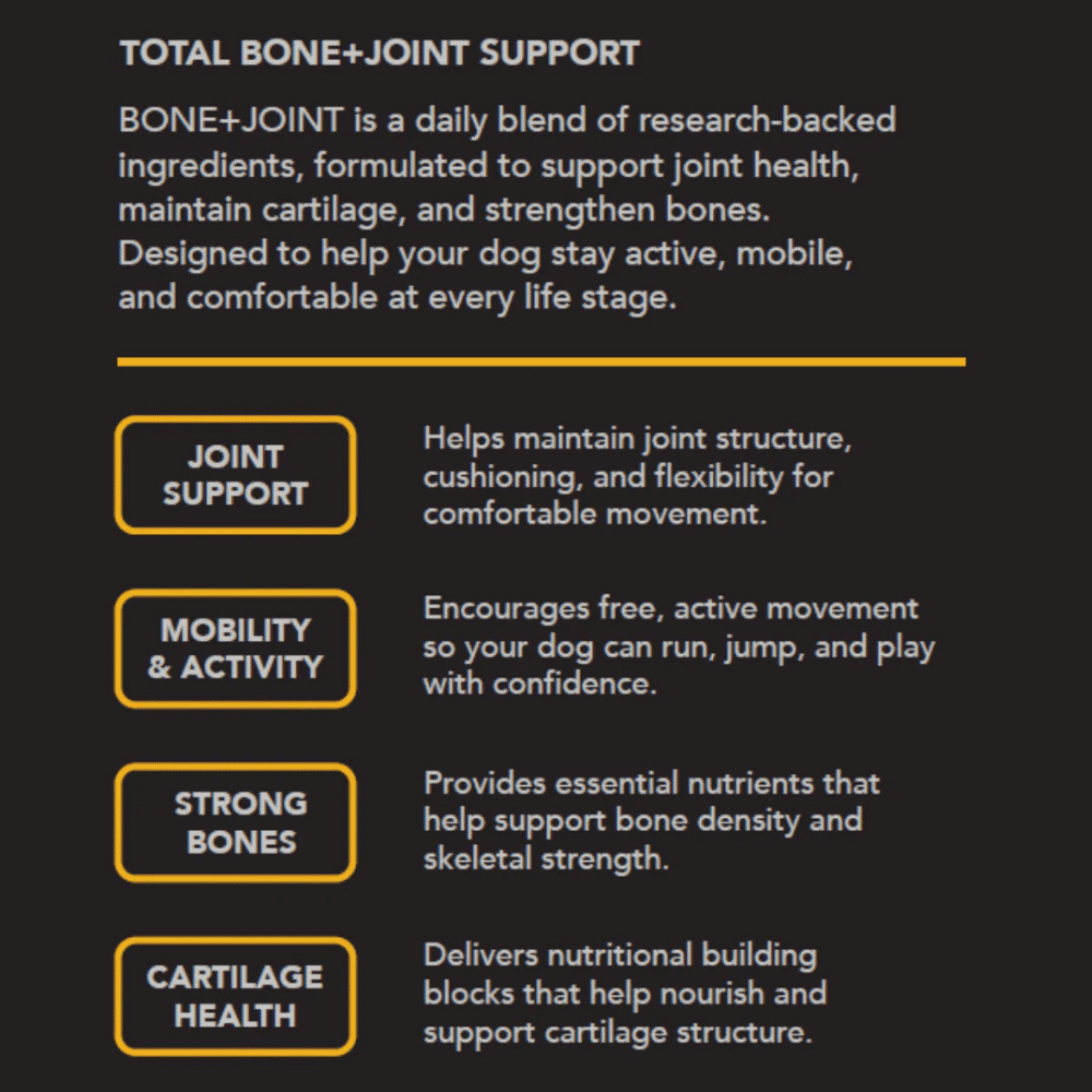 tandem-bone-and-joint-super-chew-for-dogs-330g-benefits auto draft