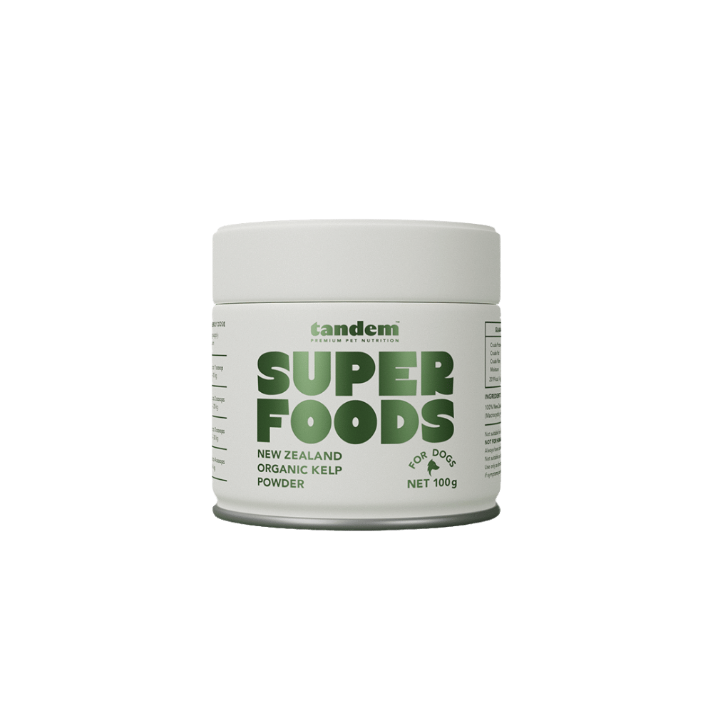 tandem new zealand organic kelp powder for dogs 100g