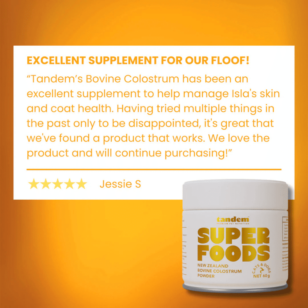 tandem-superfoods-colostrum-powder-60mg-customer-review tandem new zealand bovine colostrum powder for cats & dogs 60g
