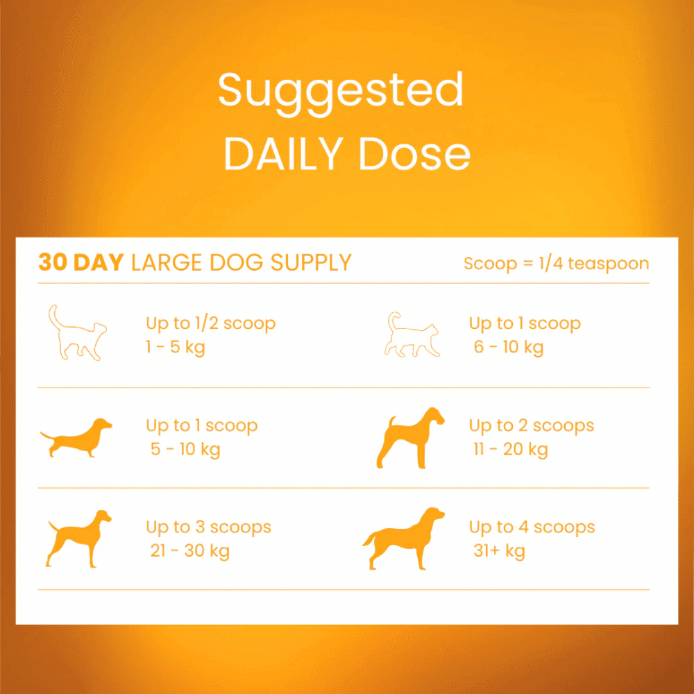 tandem-superfoods-colostrum-powder-60mg-suggested-daily-dose tandem new zealand bovine colostrum powder for cats & dogs 60g