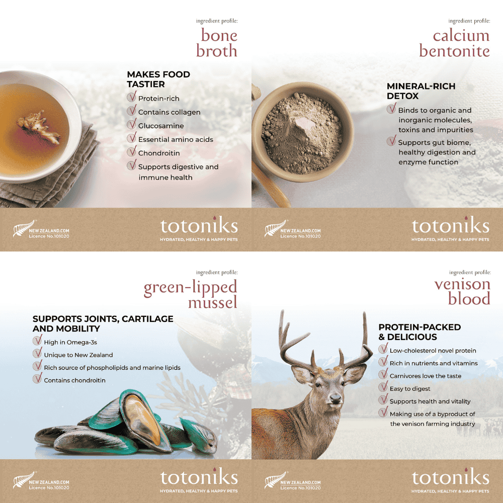 totoniks-starter-pack-gut-health-and-hydration-png (1) totoniks gut health & hydration starter pack