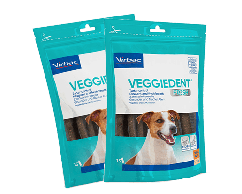 veggiedent food