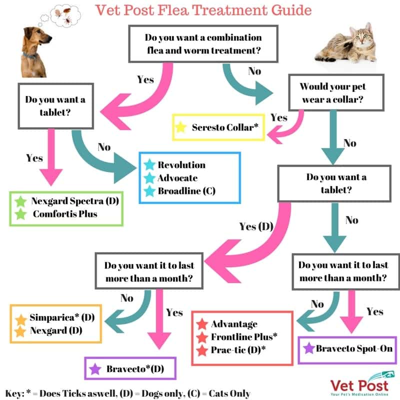 vet post flea treatment flow chart