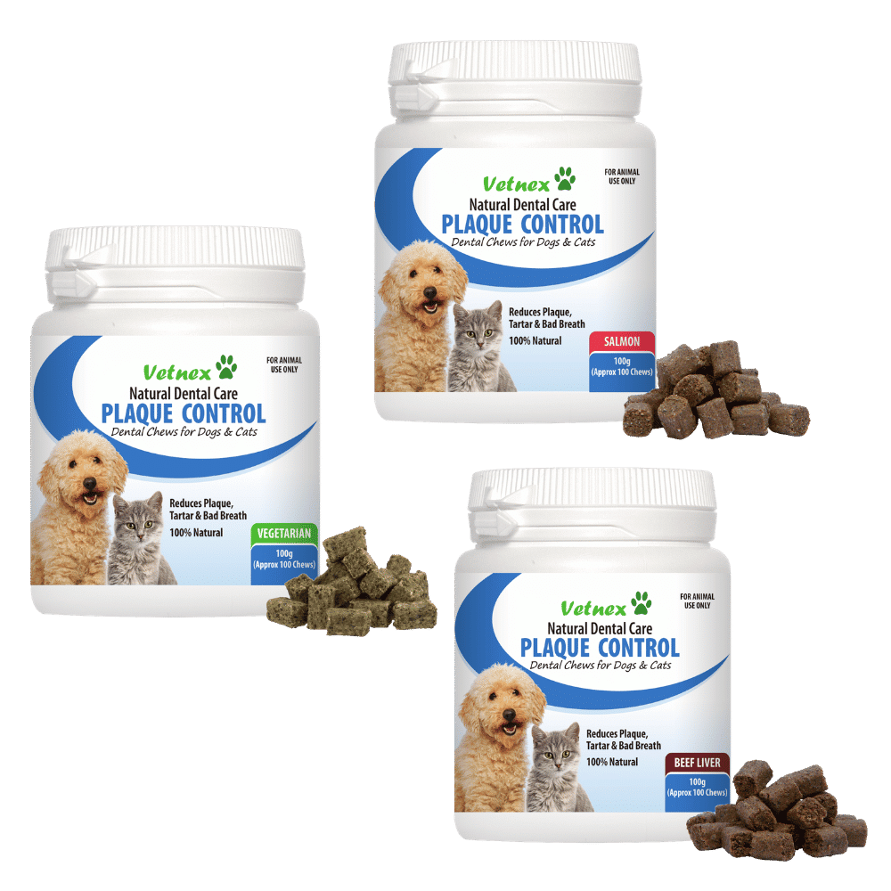 vetnex plaque control dental chews for dogs & cats 100g