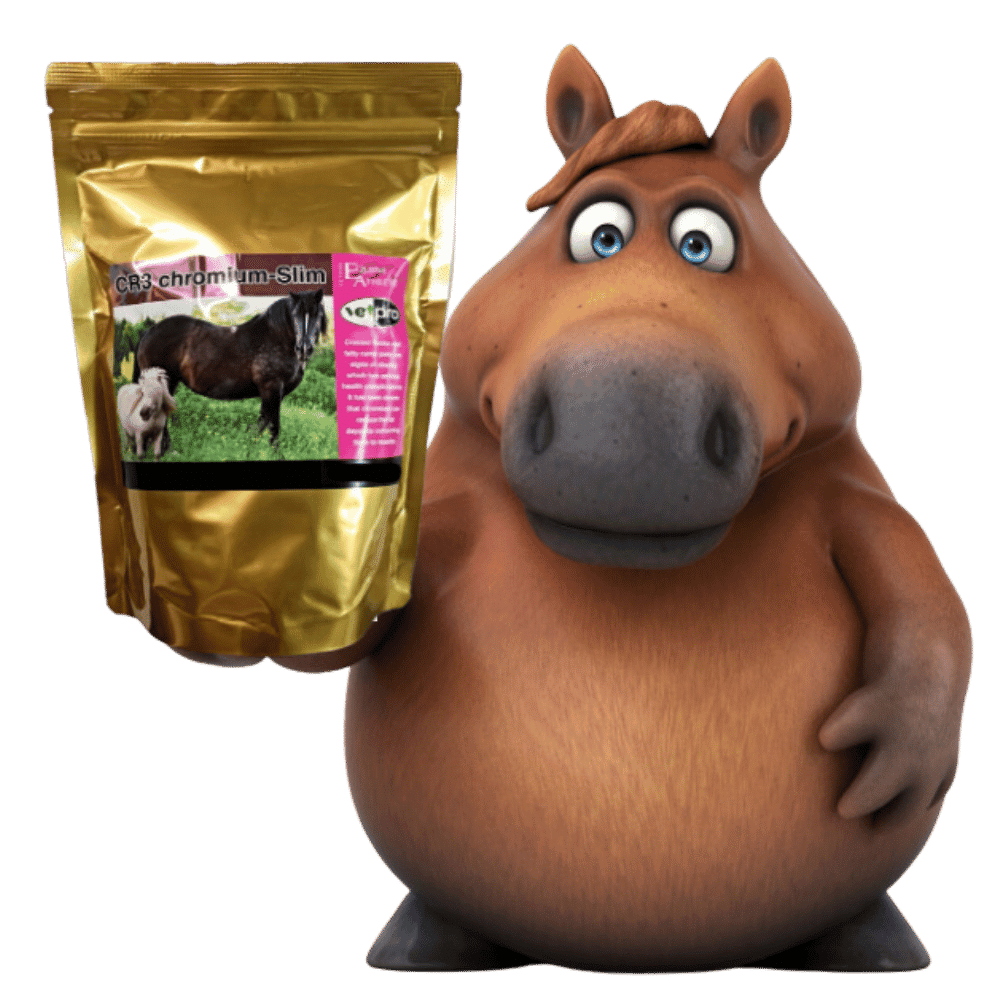 Vet Pro Chromium Slim/Plus Buy Online from Vet Post NZ